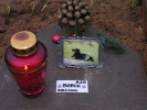 pochówki Bobik kwatera A25 w 2007 roku