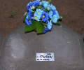 pochówki Pusia kwatera A21 w 2008 roku