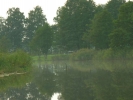 okolice cmentarza - Narwiański PN jesień 2008