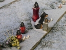 Styczeń 2009 - pochówki Kotki i Zord