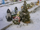 Styczeń 2009 - pochówki Tina A19