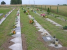 Lipiec 2011 - Cmentarz w lecie 
