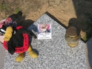 Wrzesień 2011 - pochówki Lucy-Zuzia kwatera E39