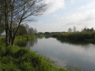 Okolice - Narew w PN w pazdzierniku 2011