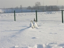 I znowu przyszła zima - przed ¦więtami grudzień 2012