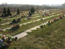 Cmentarz - widok lato 2014
