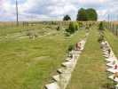 Cmentarz - widok lato 2014