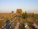 Cmentarz - bardzo suche lato i jesień
