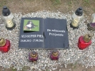 pochówki DD44 Ali 2015 XI