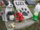 pochówki BB06 Uzi 2015 XI